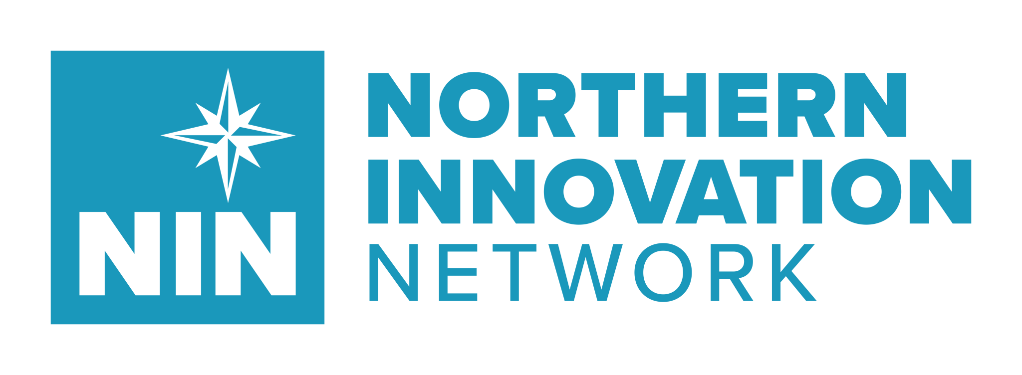NIN-2025Logo-Horizontal-Pos.png